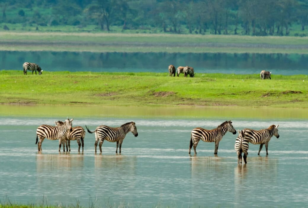9 days tanzania safari
