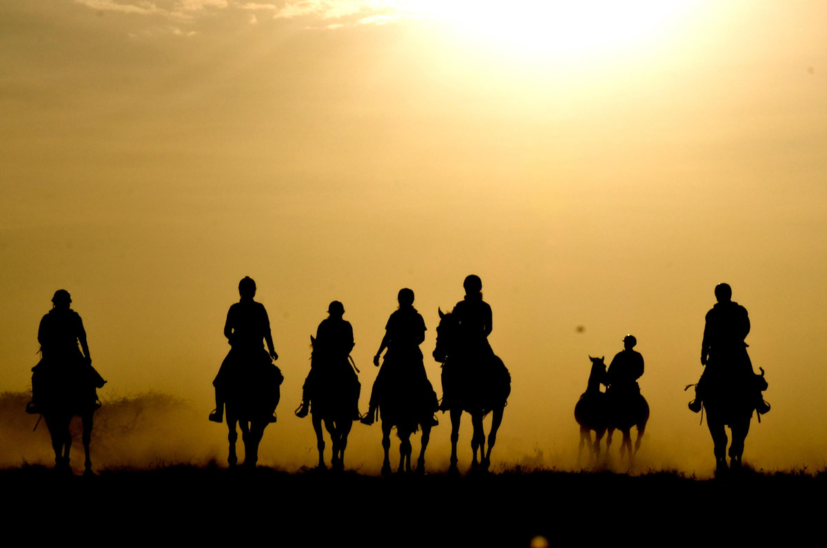 Horse Riding tour