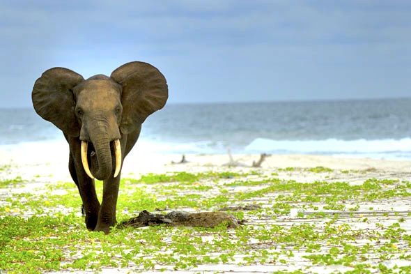 saadani national parks