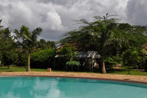 7 Days Tanzania Great Wildebeest Migration Safari