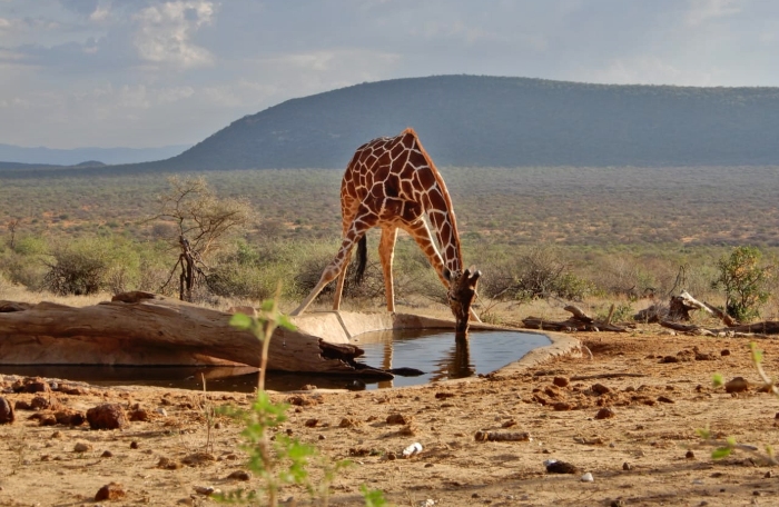 serengeti national park