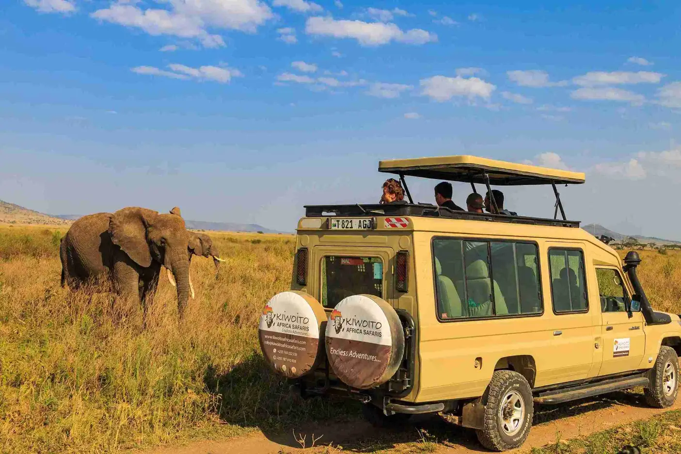 kiwoito africa safaris