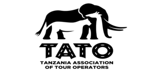 tato kiwoito