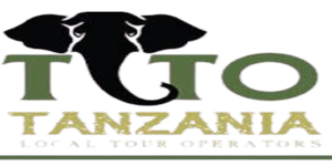 tlto kiwoito