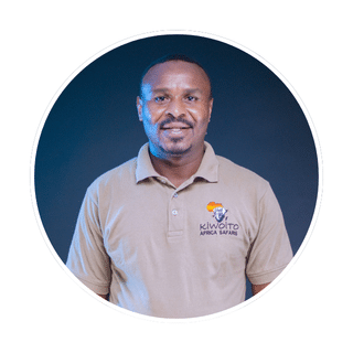 director kiwoito